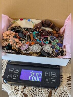 2.5 LB Wearable Costume Jewelry Mystery Box Vintage to Modern Mix